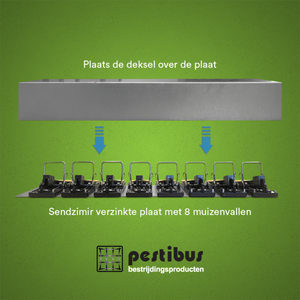 TrapCover tbv PestiBus TrapDeck